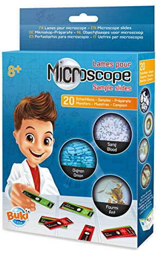 Objektglas För Mikroskop