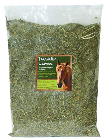 Horse Herbs Dandelion Leaves Cut 1kg Bag | 100% Natural Feed Supplement for Horses & Ponies, Equine Care