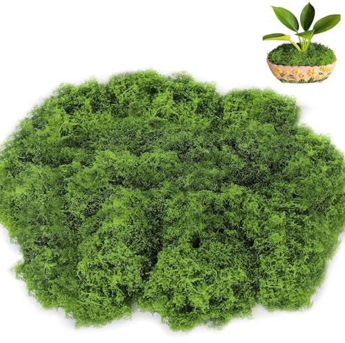 MOAZIFI Moos, 150g für Moosbilder (Dunkelgrün), Moosbild, Kunstmoos, Kunst Moos, Moos zum Basteln, Moos Deko, Künstliches Moos, Moss, Moos Konserviert, Deko Moos, Kunstmoos zum Basteln
