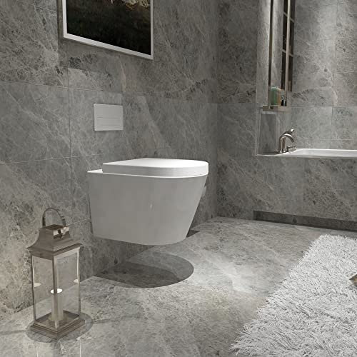 Biubiubath Modern Bathroom Round Ceramic Rimless Wall Hung Toilet Soft Close Seat WC Pan -375