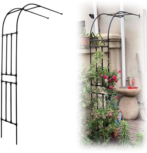 Garten-Rankgitter aus Metall für Kletterpflanzen, Halbbogen, Pergola für Reben und Gemüse, Hof, Pflanzenstützstruktur (Noir, 240 x 240 x 40 cm)