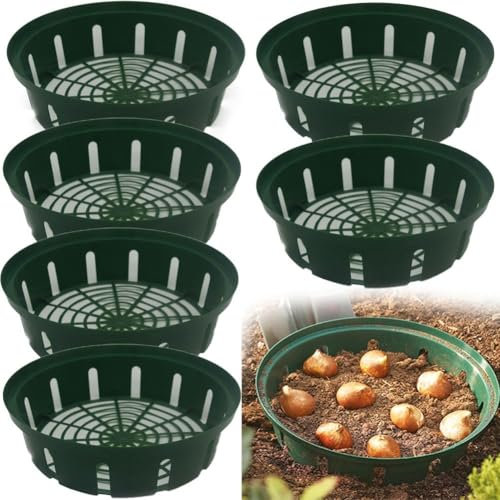 6 cestini per piante, per piantare vari bulbi di fiori, per giardino, 26 x 22 x 6,5 cm