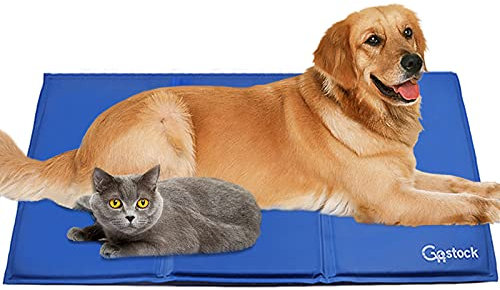 GoStock Kühlmatte für Hunde, Kühlmatte für Haustiere Ungiftiges Gel-Selbstkühlende Matte für Hunde und Katzen, Pet Cooling Mat Hund Cooler Pad für Kisten, Zwinger und Betten (90 * 60cm)