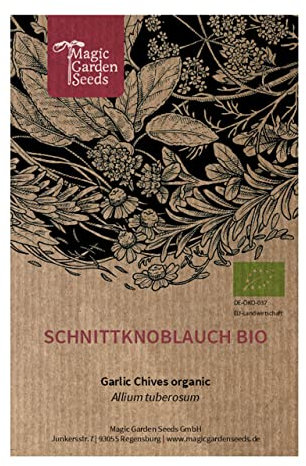 Schnittknoblauch (Allium tuberosum) Bio - ca. 120 Samen mehrjährige Küchenkräuter, essbare Blüten für Garten Balkon und Topf
