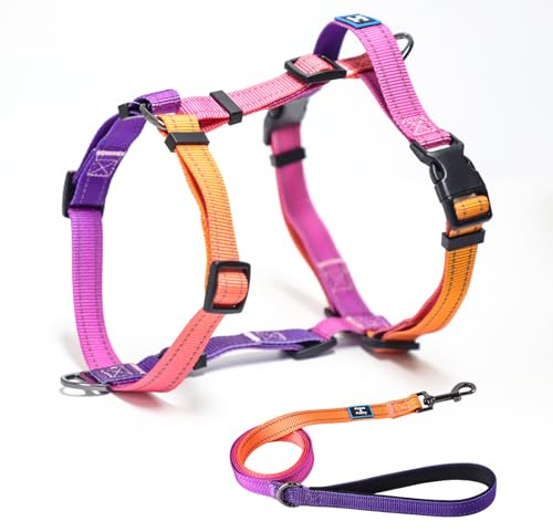 Roses&Poetry Puppy Dog Harness and Leash Set, No Pull Dog Harness Adjustable Reflective, Dog Halter Harnesses Comfort Padded Handle, Pet Harness for Training Outdoor Walking（Mistyrose-XS