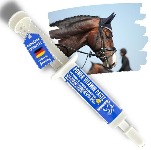 Pferde Vitamine Booster bei Mangel I Vitamin B Komplex & Vitamin E Pferd I Vitamin B12 I B-Vitamine B1 B2 B6 B12 Lysin Eisen Calcium Zink Pferd hochdosiert gegen Müdigkeit für Energie Leistung 30ml