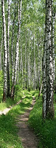 A.Monamour Pegatinas Decorativas de Puerta Autoadhesivo 3D Abedul Bosque Camino Estrecho Naturaleza Paisaje Vinilo para Puertas Mural PVC Pegatinas de Pared Foto Poster