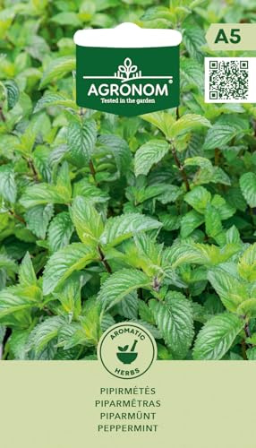 AGRONOM |Menta piperita - Semi | Semi di fiori | Piante perenni aromatiche, adatte per vasi e giardini di erbe | Viene utilizzata come spezia | Semi di piante | Semi da giardino | 1 confezione