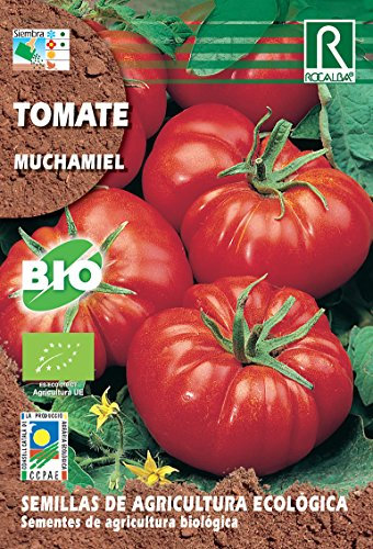 Semillas ECOLOGICAS Tomate Muchamiel