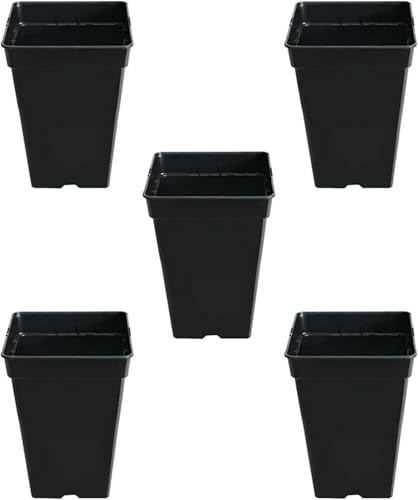 Control Garden Pack 5 Macetas Cuadradas para Plantas Negra 25 L - Maceteros de Plástico para Flores - Tiesto para Cultivos Resistente
