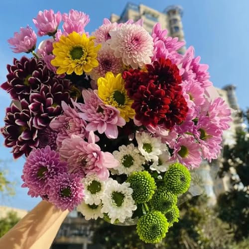 Margeritensamen - blumensaat gartenpflanzen bodendecker winterhart mehrjährig blumenwiese samen mehrjährig winterhart wildblumensamen wiesenblumen samen stauden kräuterpflanzen bonsai 400pcs