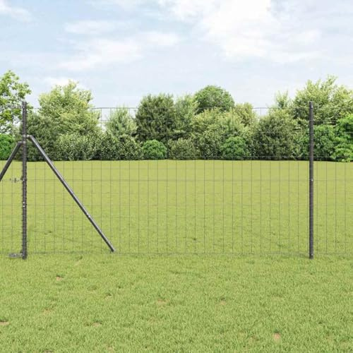 Euro staket set grått 1 x 10 m, robust pulverlackerat stål, hållbara stängselpaneler för trädgård och terrass, väderbeständig, enkel installation, säker avgränsning