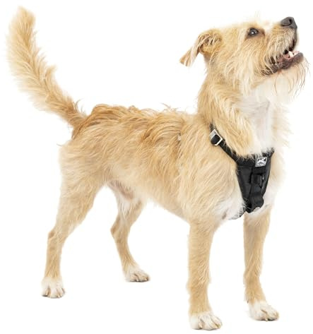 Kurgo Harnais pour Chien Tru-Fit, Accessoire Chien pour la Promenade, Clip Avant pour entraîner Son Chien à ne Pas Tirer & Ceinture de sécurité pour Voiture,Noir, S