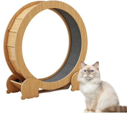 Rueda para Gatos Rueda De Ejercicio para Gatos, Rueda Grande para Gatos, Rueda De Gran Diámetro, Cinta De Correr para Gatos Silenciosa para Actividad Diaria(Medium)