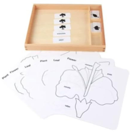 Montessori 3-delade kort med träsorteringsbricka | Kort för djur- och växtnomenklatur, biologiskt språkmaterial, lärotillbehör för vetenskaplig klassificering