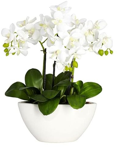 Orchid Silk Flower Arrangement White