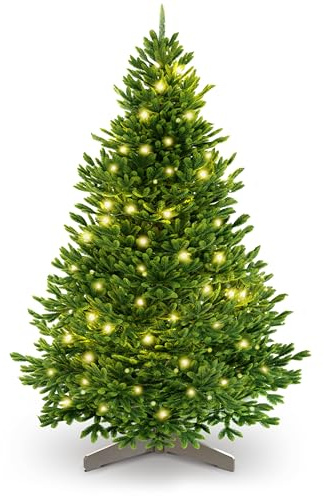 ArtiTree Künstlicher Weihnachtsbaum 150 cm – 100 % Spritzguss Nordfichte mit LED | Premium Tannenbaum naturgetreu inkl. FSC-Holzständer & Aufbewahrungstasche