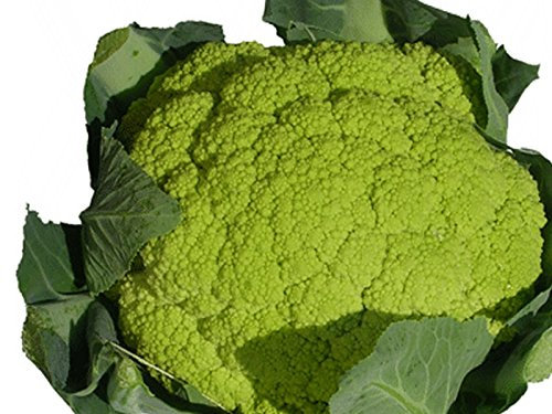 CAVOLFIORE VERDE DI MACERATA NR.200 SEMI