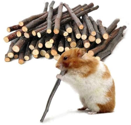 Kaninchen Kauspielzeug,40pcs Bunny Kaustock,Hamster Kauspielzeug,Kaninchen Apfelstab,Apfel Holz Kaustock,Nager Apfel Holz zum Knabbern,Backenzahn und Zähneknirschspielzeug für Kleine Haustiere