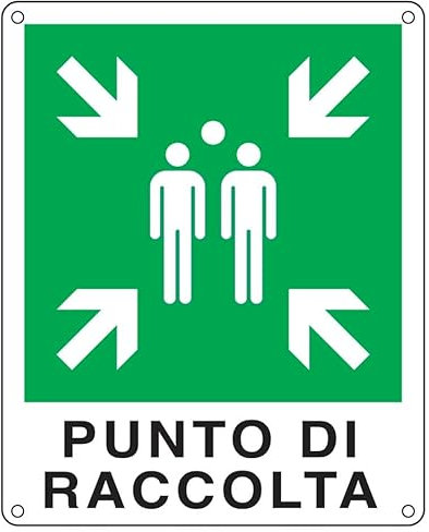 Cartello d'emergenza 25x31 cm Cartelli SegnalatoriPunto di raccolta