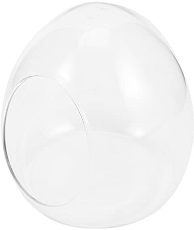 OFFSCH Desktop Pflanzen Terrarium Aus Glas Dekorativer Öko-Container Für Mikro-landschaften Für Büro Und Zuhause Glasflasche Für Moos Und Pflanzen