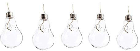 Tubayia 5 Stück Glas Glühbirne Blumenvase Hängevase Hydroponische Glasvase Dekoration für Wohnzimmer, Büro