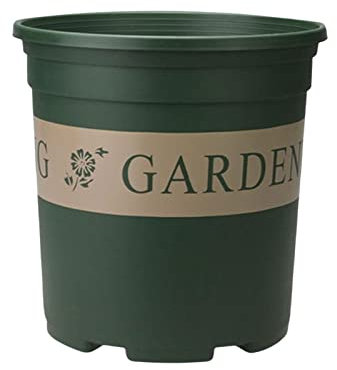 Duiaynke Vasi da fiori per piante, contenitore per piante da vivaio, da tavolo, per piantare fiori, verdure, bonsai, decorazione (L)