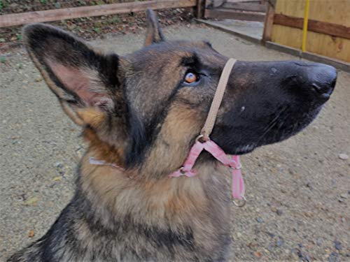 Comfort Trainer Head Halter. Stops Pulling for Ultimate Control (5, Pink)