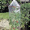 Novatool 3X Tomatenreifehaube Abstandsringen gelocht I Ø 65 x H 130 cm | Tomatenfolien Tomatenhaube Tomatenschirm | Schutz Tomatenabdeckungen