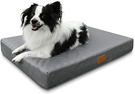 your GEAR Biella - Cama ortopédica para Perros, 100 x 70 x 10 cm, Lavable