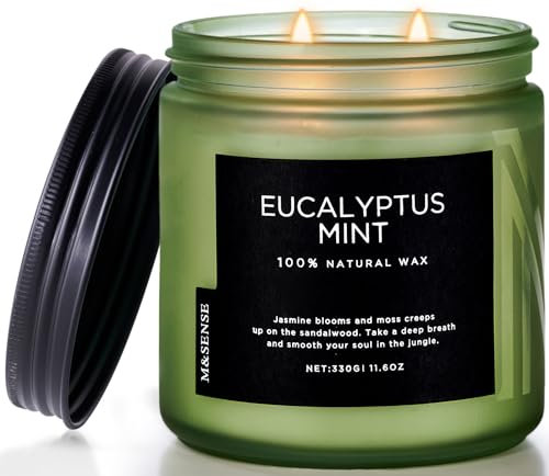 M&SENSE Eucalyptus Mint Soy Candles for Home Scented, 330g 70 Hour Burn Aromatherapy Candle Gift for Stress Relief, Meditation, Yoga, Relaxing SPA, Reusable Jar Candles for Men and Women