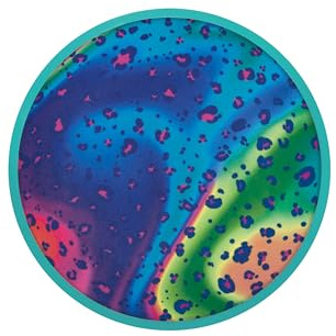 Waboba Flobo - Water Frisbee/Flying Disc - Flyger rakt och långt när du är på stranden