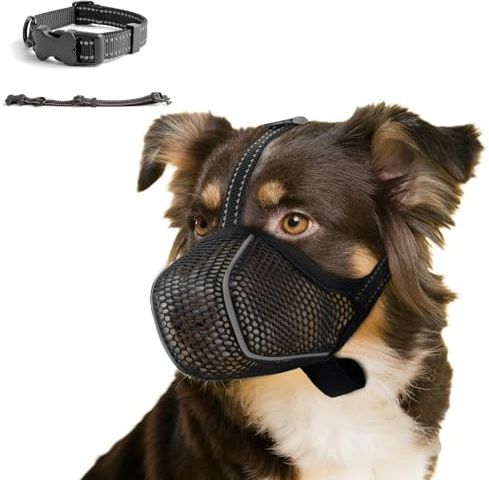 Muselières pour Chiens Anti-Grignotage, Colliers pour Chiens, Muselières Respirantes Réglables pour Animaux de Compagnie,Prévenir l'ingestion Accidentelle,Convient Animaux de Petite Taille(S)