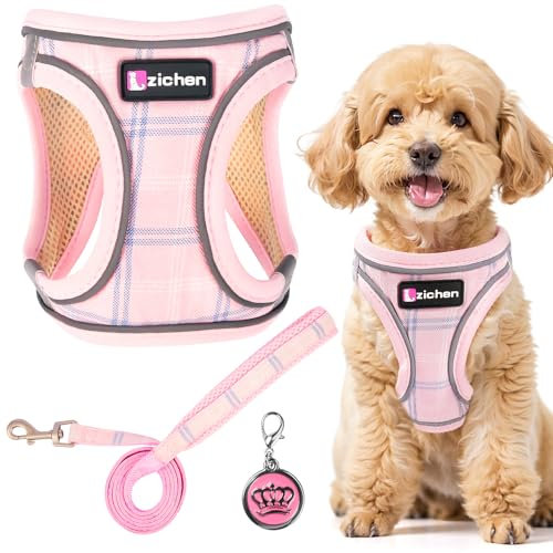 Hundegeschirr Kleine Hunde mit Leine, Verstellbares Step-In Welpengeschirr, Reflektierendes, Atmungsaktives Hundegeschirr für Welpen, für Spaziergänge, Training, Outdoor-Aktivitäten