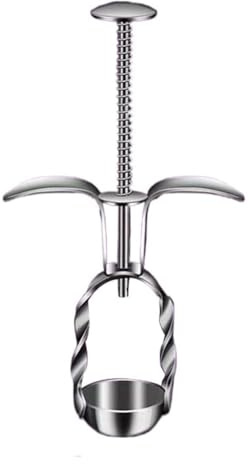 Lawnoval Cherries Corer for, Olive, and Jujube Pits - 304 for Stainless Steel Fruit Stoner with Spring Rebound, Leak-Proof Design - Silver (8 x 3 x 15.6 cm)