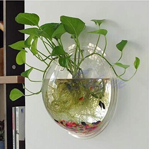 Wall Mounted Clear Acrylic Bubble Fish For Tank Flower Pot Vase Decoration Wall Hanging Fish Bowl Decorative Hydroponic Corner Aquarium With Stand