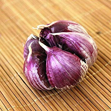 Potseed 100 st flera kronblad grön vitlök ekologisk röd hälsosam vegetabilisk matlagning krydda i huvud trädgård mat: 3