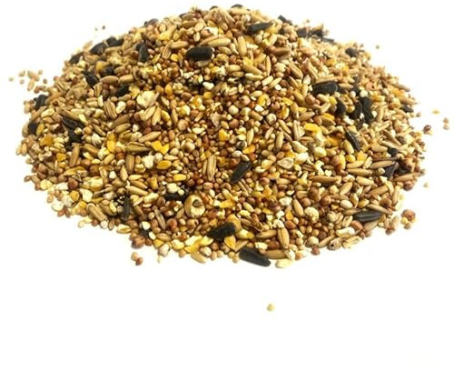 Everyday Mixture 200g Premium Wild Bird Food Garden Seed Feed SLW