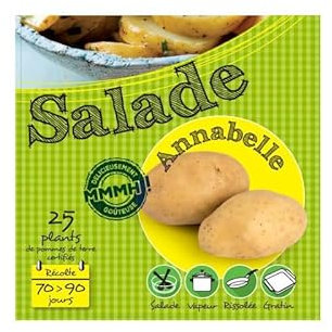 Annabelle 25 Plants de pomme de terre