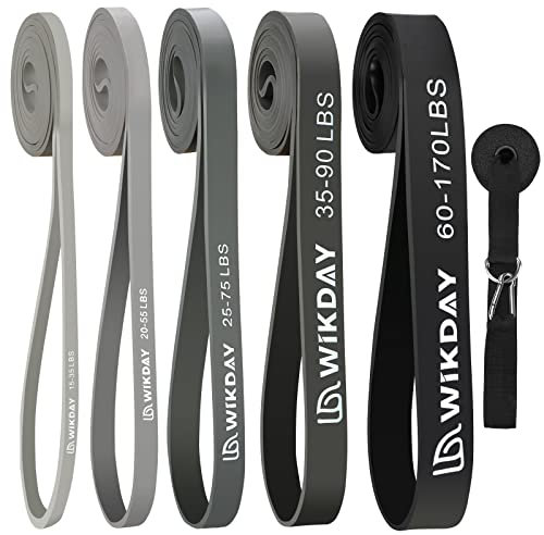WIKDAY Resistance Bands, Pull Up Bands, Workout Bands for Exercise, Thick Heavy Resistance Band Set with Door Anchor, Elastic Bands for Body Stretching, Training at Home/Gym for Men & Women Gray Color