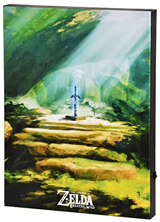 Elbenwald Zelda Masterschwert Wandbild mit Licht batteriebetrieben 30 x 40 x 3,8 cm