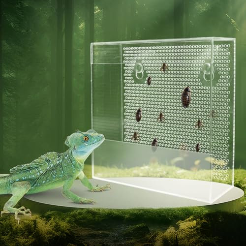 Transparent Acrylic Reptile Feeder Box, Wall-Mounted Insect Feeder with Suction Cups, Tank and Aquarium Accessories for Lizard, Bearded Dragon, Gecko