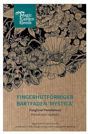 Penstemon digitalis 'Mystica' (Penstemon digitalis) circa 180 semi di questa pianta perenne resistente attira api e fiore reciso