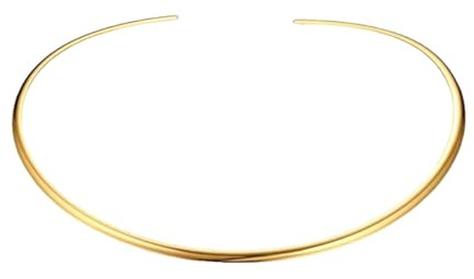 JOINPAYA Collana Girocollo Rigida in Acciaio Inossidabile Dorata Da Donna Collana Choker Elegante Per Uso Quotidiano Cosplay E Feste Accessorio Moda