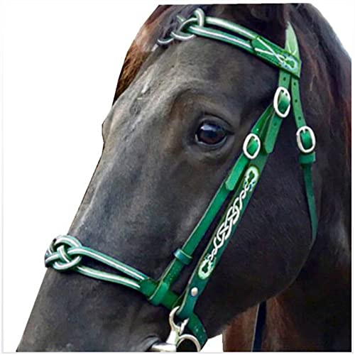 FHXYZ Free Size Equestrian Bridles, Multi-Color English Leather Horse Reins Accessories with 2 Rope for Outdoor Training Rider Harness Equipment Tool (green)