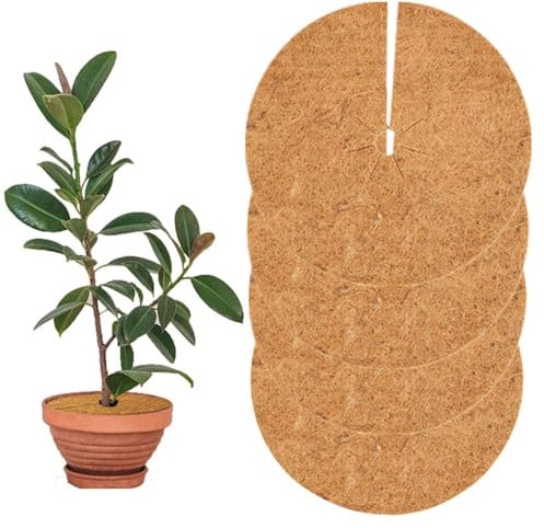 Wanfoou 4 Stück Kokos Mulchscheibe, Kokosscheibe Pflanzenschutzmatte, Kübelabdeckung Winterschutz für Topfpflanzen, Kokos Pflanzenschutz,Kübelabdeckung Frostschutz,Winterschutz Unkrautschutzmatte,35cm