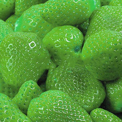 100 Stück Grüne Erdbeersamen, Blumen Samen für Garten und Balkon,Ideale Garten Pflanzen, Balkon Pflanzen & Kübelpflanzen,100Pcs Green Strawberry Seeds