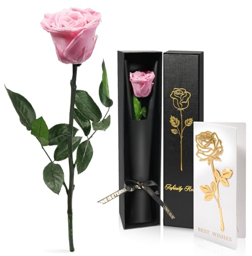 Yamonic Rosa Stabilizzata Regalo Donna, Vera Rosa Eterna con Steli Regalo per Donne Compleanno, Regali Natale San Valentino Festa della Mamma Anniversario Matrimonio Regali Fidanzata Mamma Nonna