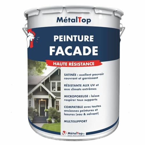 Metaltop Peinture Facade - Ivoire - RAL 1014-1 L Microporeuse, idéale pour murs extérieurs en rénovation ou neuf.