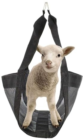 Harnais D'échelle De Mollet, Harnais De Mollet Pour Pesage | Harnais En Nylon Pour Peser Petits Animaux | Harnais De Levage De Bétail Réglable Pour Veaux, Chèvres, C
